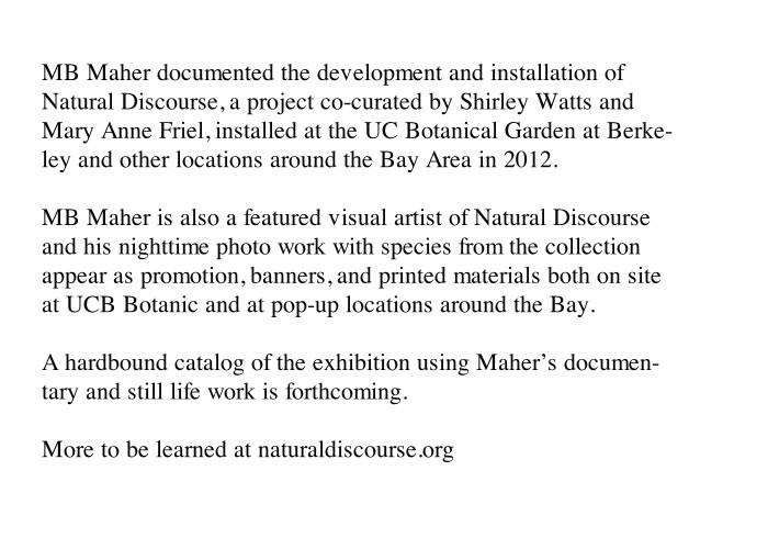 http://mx4.mbmaher.com/files/gimgs/th-4_natural.jpg